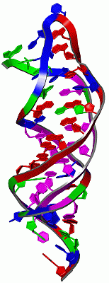 Image NMR Structure - manually