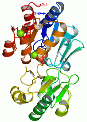 Image Asym./Biol. Unit - manually