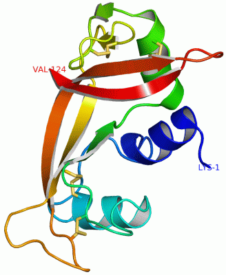 Image Asym./Biol. Unit - manually