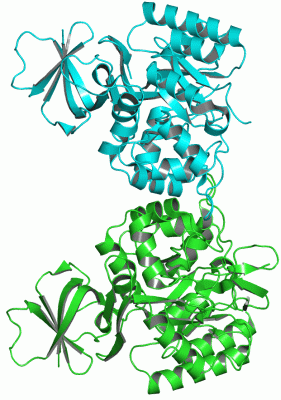 Image Asym./Biol. Unit - manually