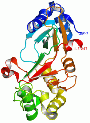 Image Asym./Biol. Unit - manually