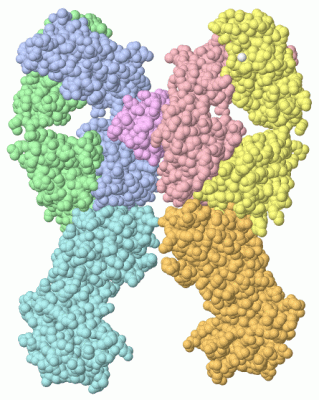 Image Asym./Biol. Unit - manually