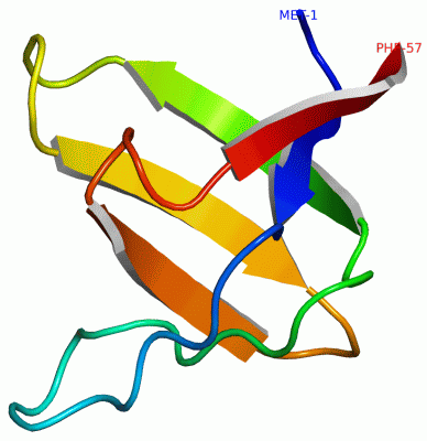 Image Asym./Biol. Unit - manually