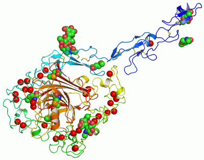 Image Asym./Biol. Unit - manually