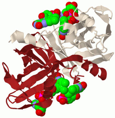 Image Biol.Unit 1 - manually