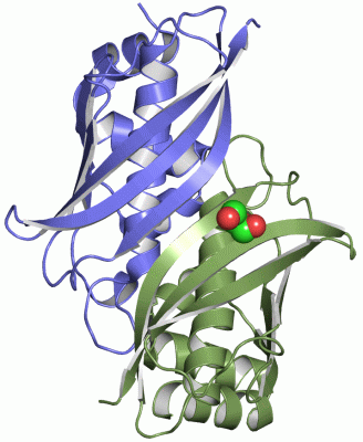 Image Asym.Unit - manually