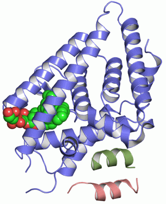 Image Asym./Biol. Unit - manually