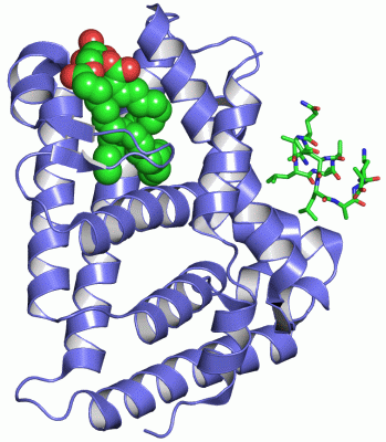 Image Asym./Biol. Unit - manually