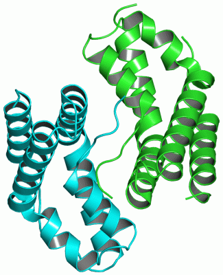 Image Asym./Biol. Unit - manually