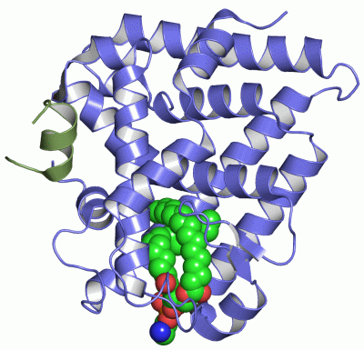 Image Asym./Biol. Unit - manually