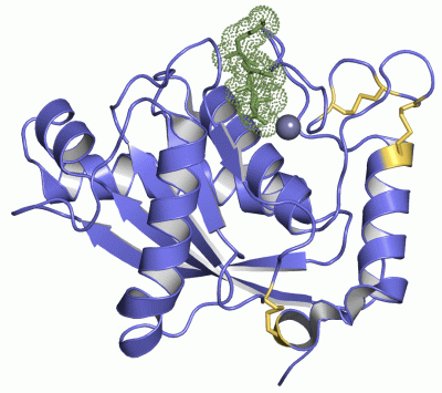 Image Asym./Biol. Unit - manually