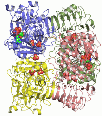 Image Asym./Biol. Unit - manually