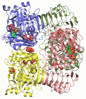 Image Asym./Biol. Unit - manually