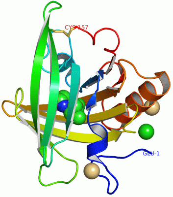 Image Asym./Biol. Unit - manually