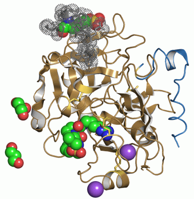 Image Asym./Biol. Unit - manually