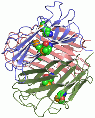 Image Asym./Biol. Unit - manually