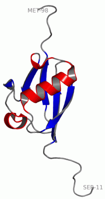 Image Asym./Biol. Unit - manually