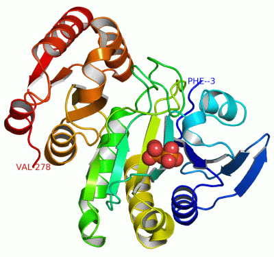 Image Asym./Biol. Unit - manually