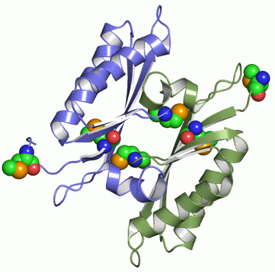 Image Asym.Unit - manually