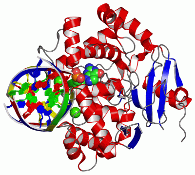 Image Asym./Biol. Unit - manually