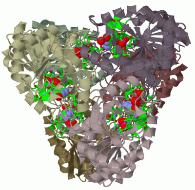 Image Biol.Unit 1 - manually