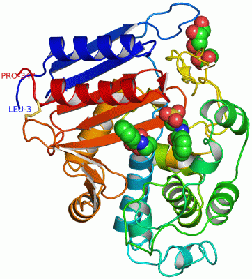 Image Asym./Biol. Unit - manually