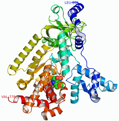 Image Asym./Biol. Unit - manually