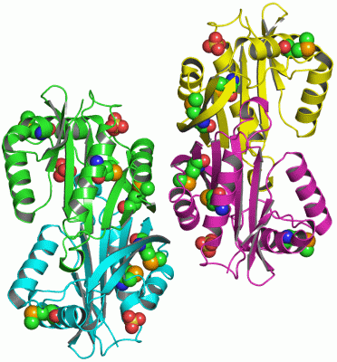 Image Asym.Unit - manually