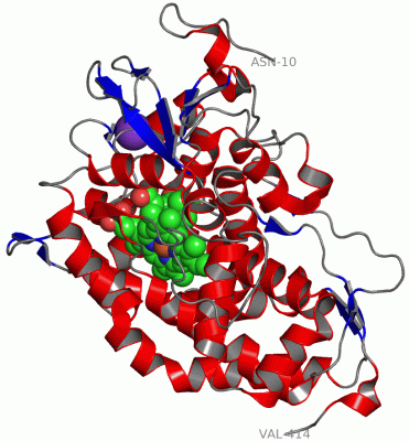 Image Asym./Biol. Unit - manually