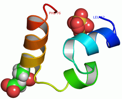 Image Asym./Biol. Unit - manually