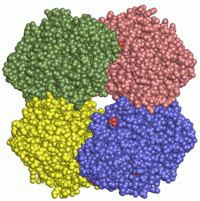 Image Asym./Biol. Unit - manually