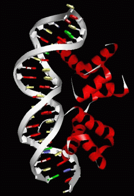 Image Asym./Biol. Unit - manually