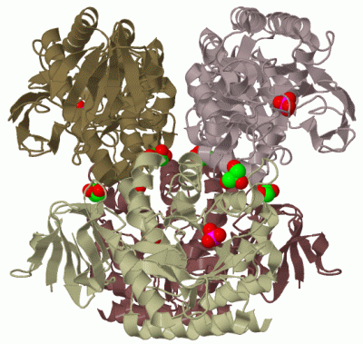 Image Biol.Unit 1 - manually