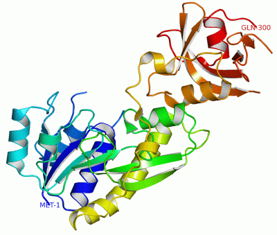 Image Asym./Biol. Unit - manually