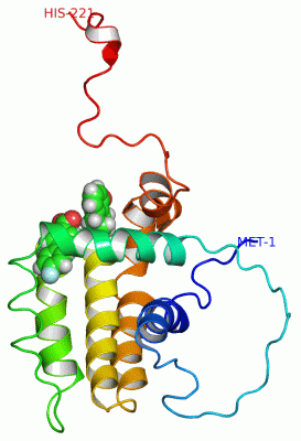 Image NMR Structure - manually