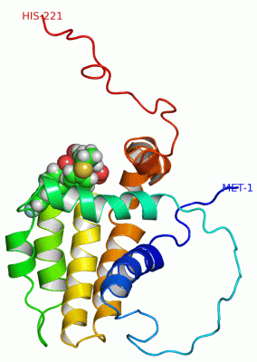 Image NMR Structure - manually