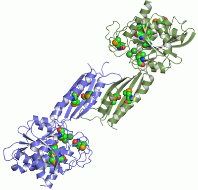 Image Asym./Biol. Unit - manually