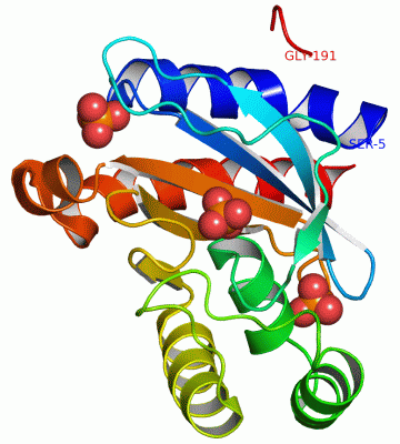 Image Asym./Biol. Unit - manually