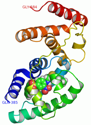 Image NMR Structure - manually