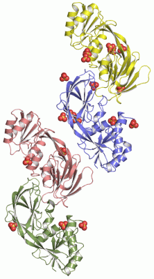 Image Asym.Unit - manually