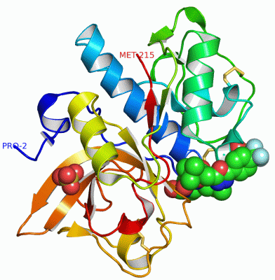 Image Asym./Biol. Unit - manually