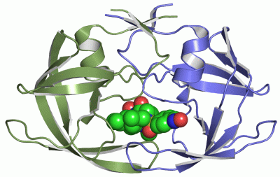 Image Asym./Biol. Unit - manually