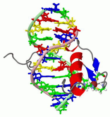 Image NMR Structure - manually