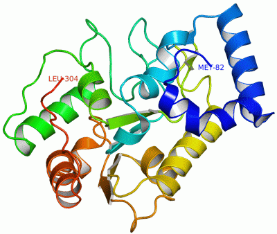 Image Asym./Biol. Unit - manually