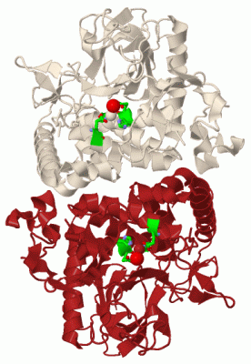 Image Biol.Unit 1 - manually