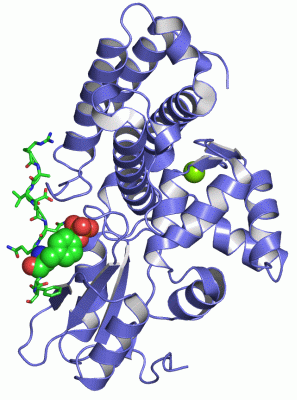 Image Asym./Biol. Unit - manually