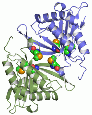 Image Asym./Biol. Unit - manually