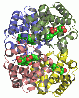 Image Asym./Biol. Unit - manually