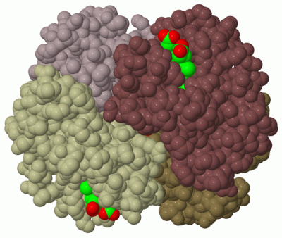 Image Biol.Unit 1 - manually