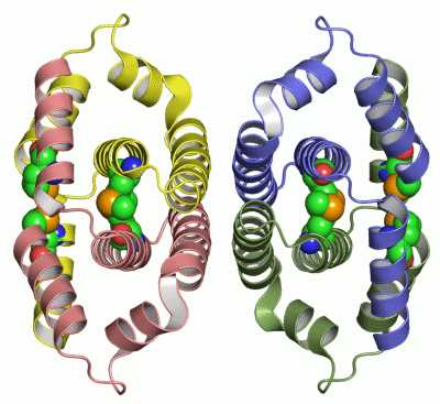 Image Asym./Biol. Unit - manually